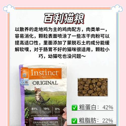 幼猫吃全价猫粮会有什么后果？幼猫为何不能吃全价猫粮？