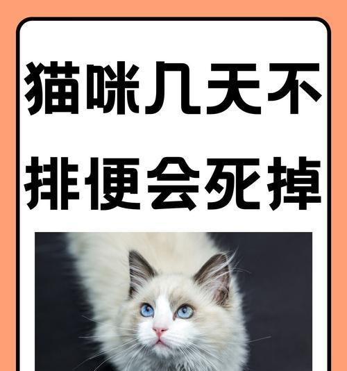 流浪猫不拉屎是什么原因？猫粮与消化问题有关吗？