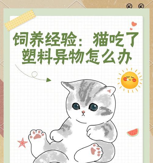 幼猫误食成年猫粮后的处理方法？