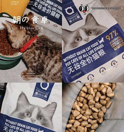 热天猫粮如何保存不变质？有哪些方法？