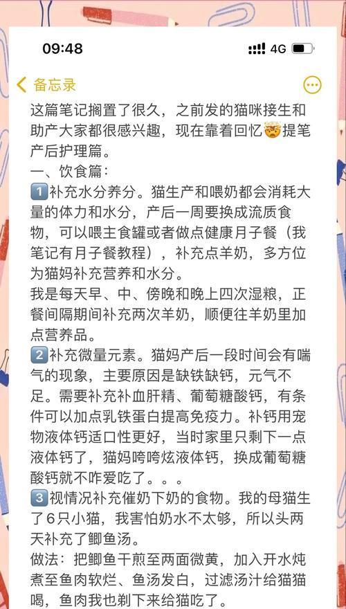 主人去世后猫咪不吃猫粮的原因是什么？如何帮助猫咪恢复饮食？