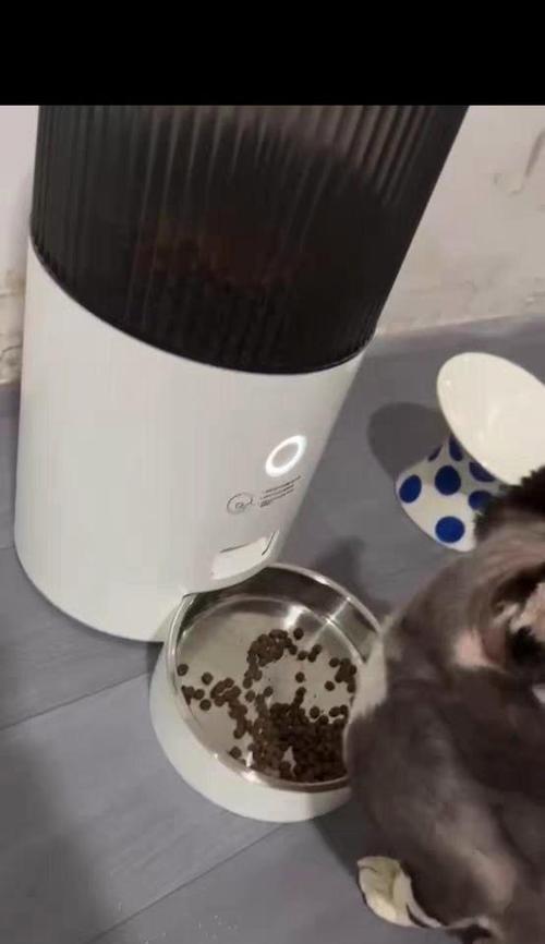 猫粮自动出粮器受潮了怎么办？