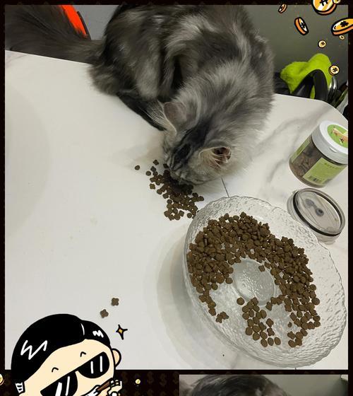 猫扒拉碗要吃猫粮吗为什么？这是猫咪的什么行为？