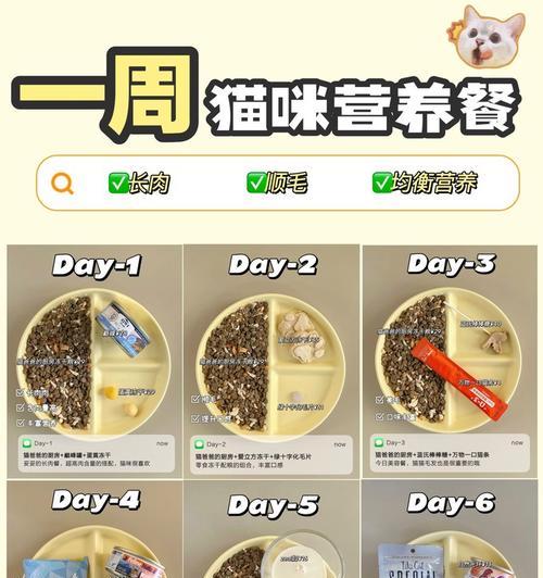 自制小孩猫粮的食谱有哪些？如何制作既美味又健康的猫粮？