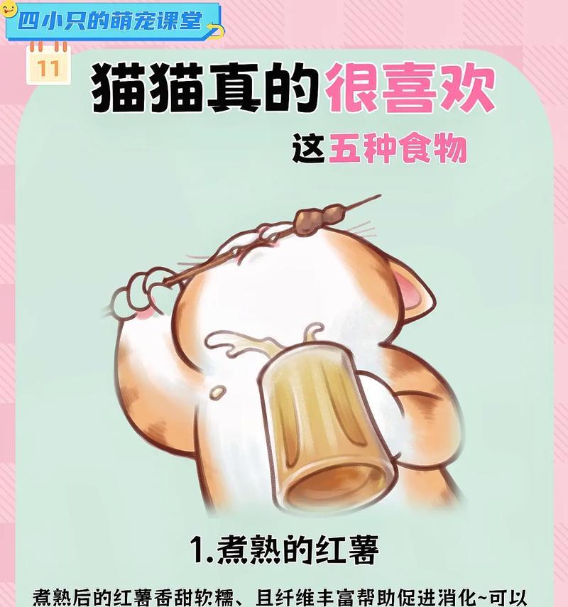 除了猫粮，还可以用什么食物代替给猫咪吃？如何确保替代食物的营养均衡？