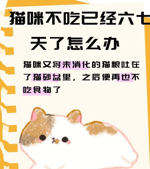 猫粮盆里有屎怎么办？猫咪为何会嫌弃？
