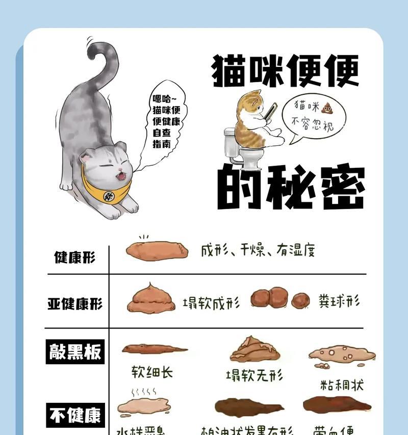 猫粮盆里有屎怎么办？猫咪为何会嫌弃？