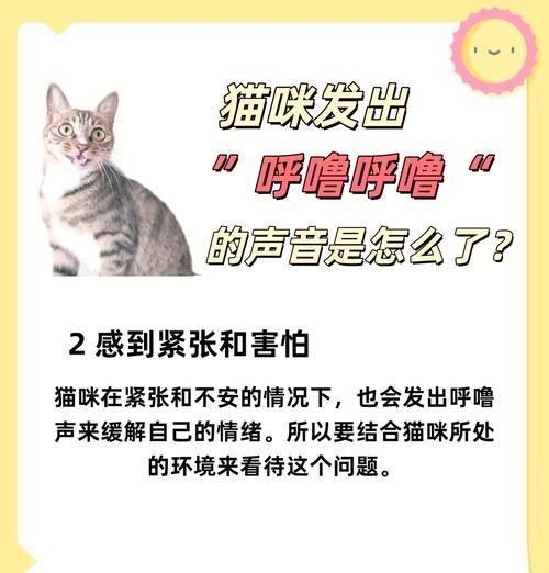 猫咪吃猫粮时打呼噜，是何原因？