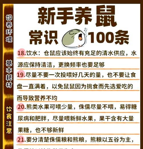 在宠物店挑选仓鼠时应注意哪些要点？如何鉴别仓鼠的健康状况？