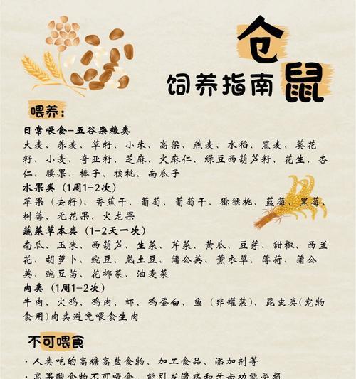 在宠物店挑选仓鼠时应注意哪些要点？如何鉴别仓鼠的健康状况？