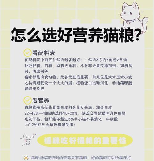 2个月宠物猫猫粮喂食方法？如何正确喂养？
