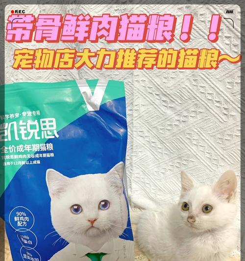 从宠物店购买猫粮如何安全带回家？需要准备什么？