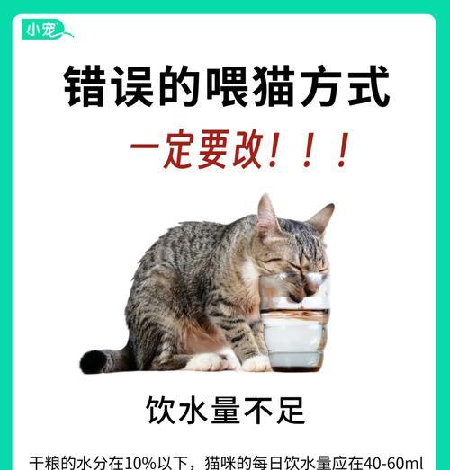 长期喂泡软猫粮对猫有何影响？