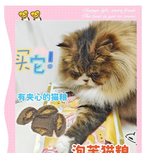长期喂泡软猫粮对猫有何影响？