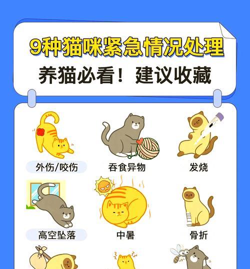 幼猫被猫粮卡住会有哪些后果？