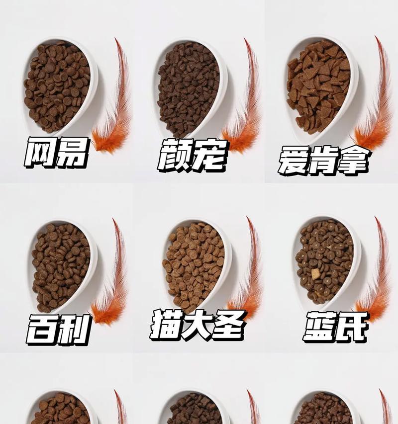 如何让猫咪区分两种不同的猫粮？