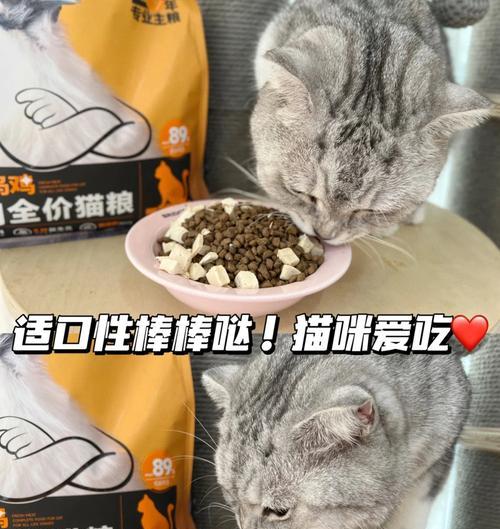 小猫为何会将猫粮装进自己的包里？