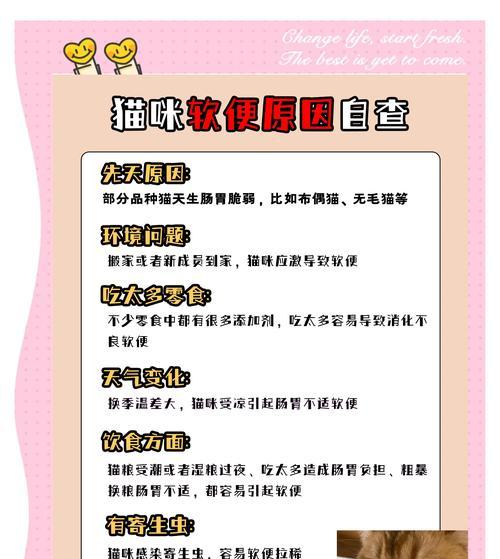 猫咪食用猫粮后口干应如何解决？