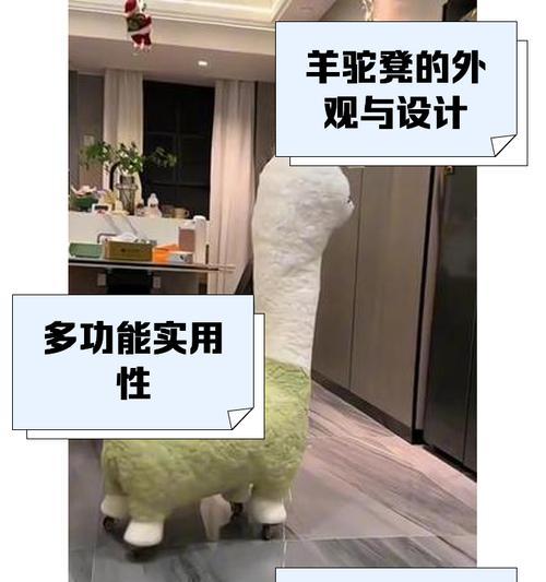 羊驼坐凳带滑轮有何危害？使用时需要注意哪些安全问题？