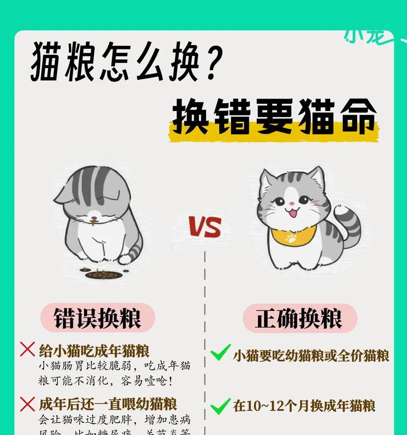 强行换猫粮不吃怎么办？什么牌子猫粮性价比高？