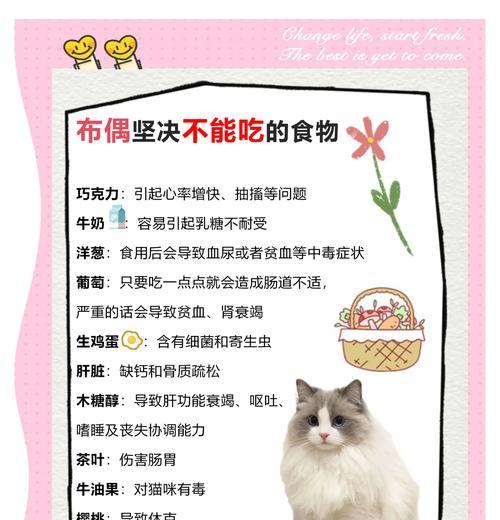 布偶猫吃猫粮注意什么细节？布偶猫的饮食管理有哪些要点？