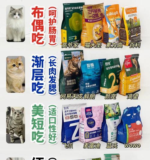布偶猫吃猫粮注意什么细节？布偶猫的饮食管理有哪些要点？