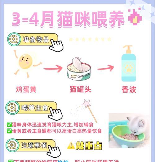 奶猫粮应该如何正确喂食？
