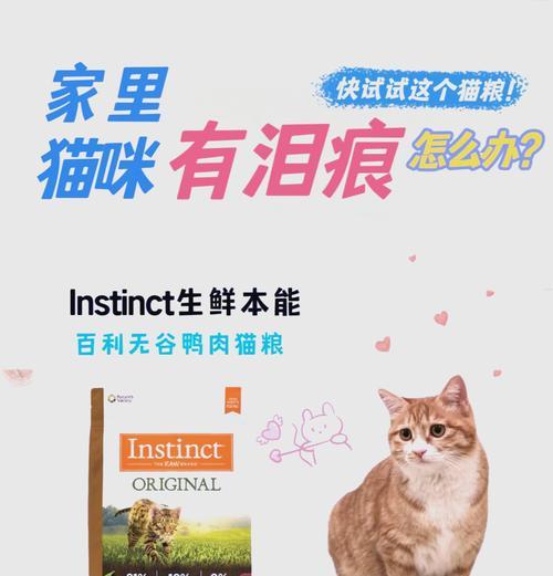 猫掉毛泪痕应选择哪种猫粮？