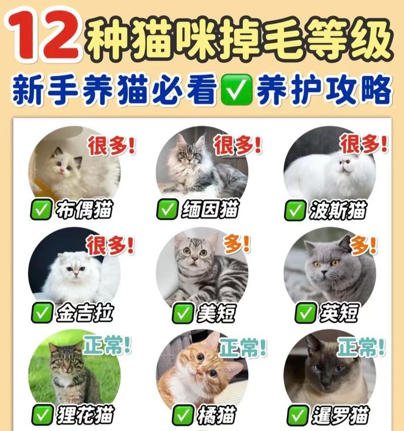 猫掉毛泪痕应选择哪种猫粮？