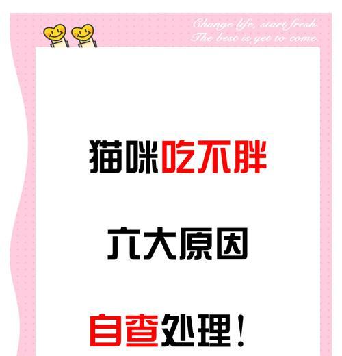 猫咪持续吃猫粮却变瘦是为什么？如何改善？