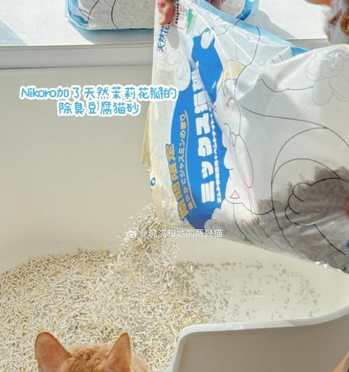 猫粮桶清洗方法？怎样才能洗得最干净？