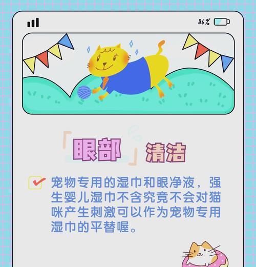 猫粮桶清洗方法？怎样才能洗得最干净？