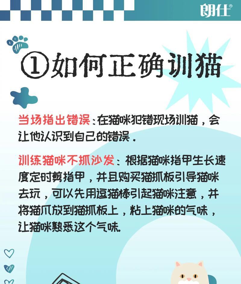 小孩抓取猫粮的原因？如何教育正确行为？
