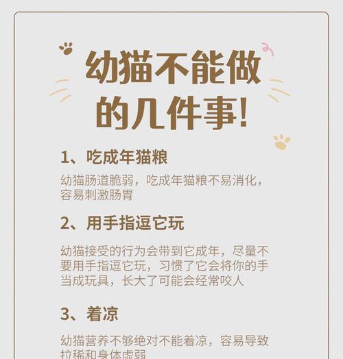 小孩抓取猫粮的原因？如何教育正确行为？