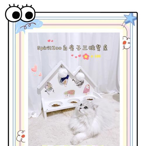 猫粮碗陶瓷支架怎么用图解？安装步骤是什么？