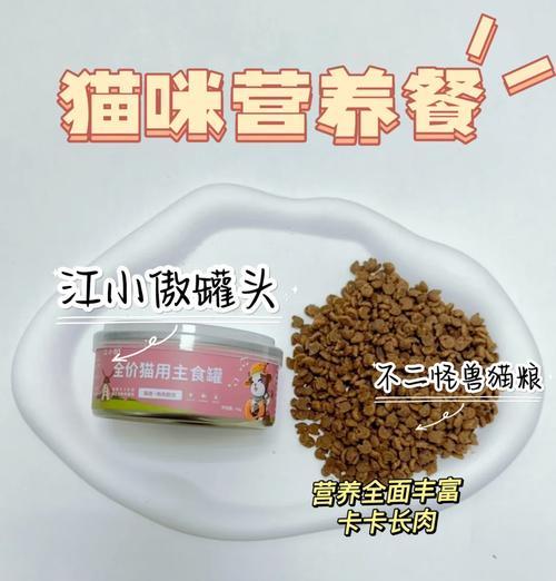 喂猫罐头后是否需要继续喂猫粮？原因是什么？
