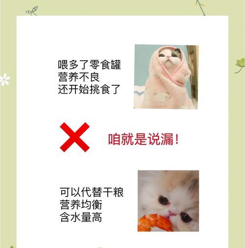 喂猫罐头后是否需要继续喂猫粮？原因是什么？