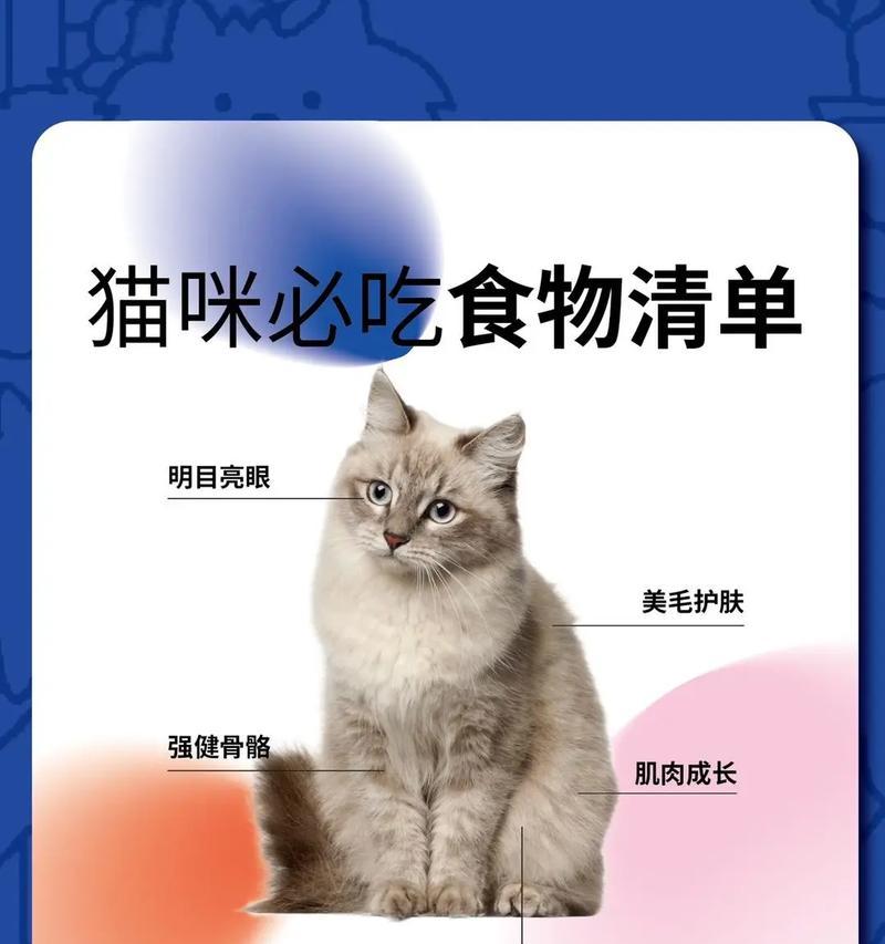除了猫粮还能喂什么给猫咪？有哪些替代食物？