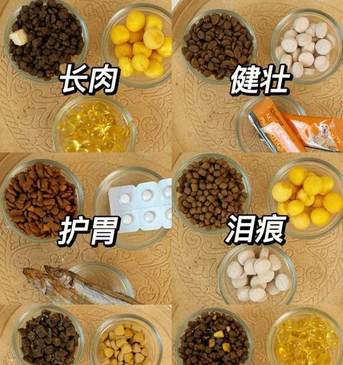 猫咪发胖时猫粮的喂食建议是什么？