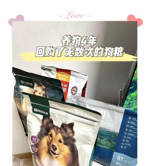 狗狗喜欢的美味狗粮有哪些选择？