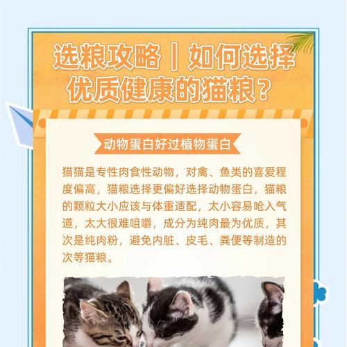 为何猫咪突然偏爱猫粮而拒绝鱼类？