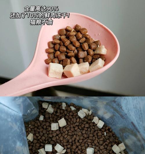 辨别猫粮冻干真假的有效方法是什么？