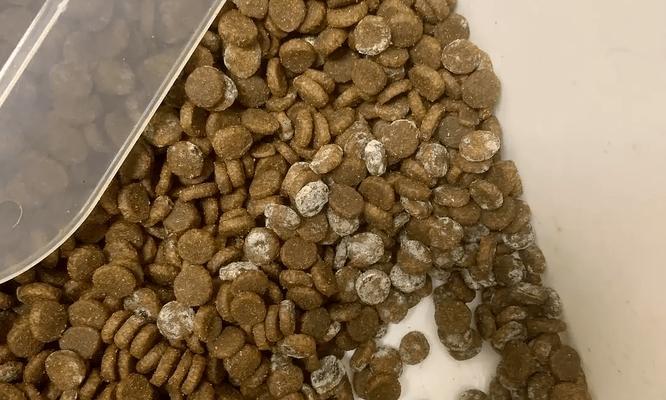 如何鉴别猫粮是否变质？