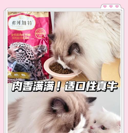 猫咪换粮后小便带血是什么原因？