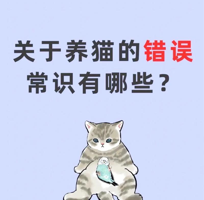 面对主人不让猫吃猫粮的情况该如何应对？