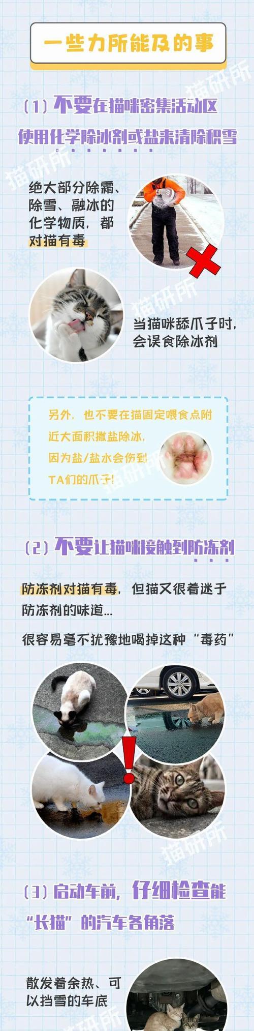 猫粮不慎倒在泥地上该如何处理？