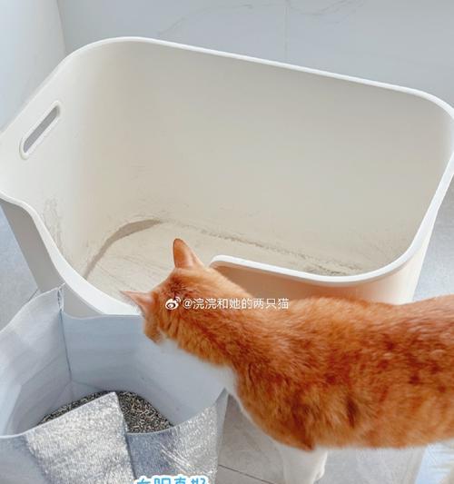 猫粮不慎倒在泥地上该如何处理？