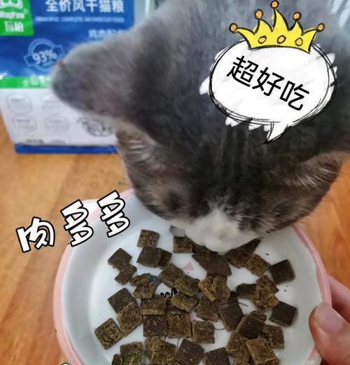 猫粮不慎倒在泥地上该如何处理？