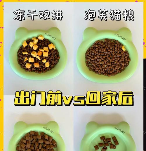 如何选择适合挑食猫咪的猫粮？
