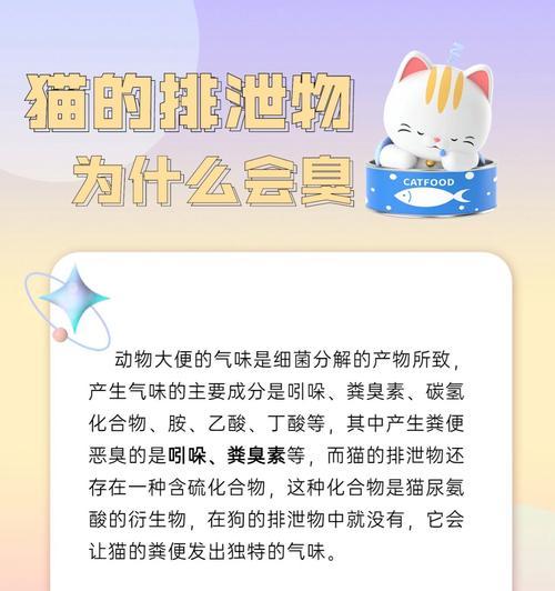 猫换粮后粑粑臭味是否正常？